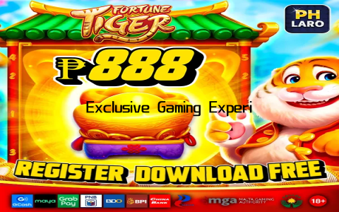 Exclusive Gaming Experience at Elite Online Casino